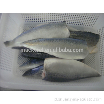 Frozen Fish Pacific Mackerel Fillet untuk kalengan